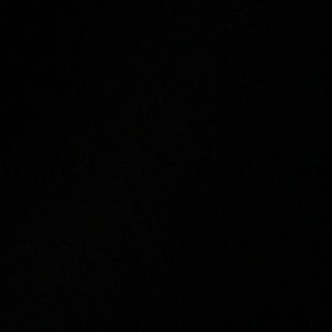 Meet your Posher, Jayla